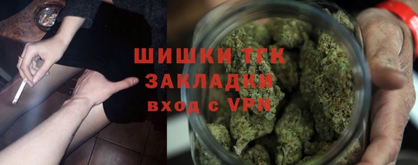 прущие грибы Наволоки