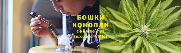 прущие грибы Наволоки