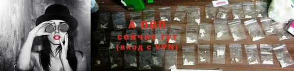 PSILOCYBIN Надым