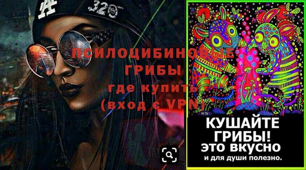 PSILOCYBIN Надым