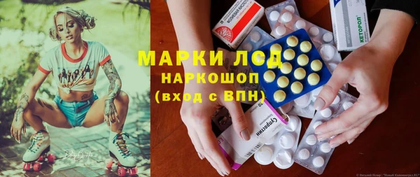 шишки Ачинск