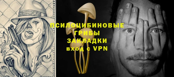 PSILOCYBIN Надым