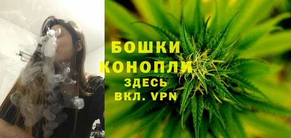 прущие грибы Наволоки