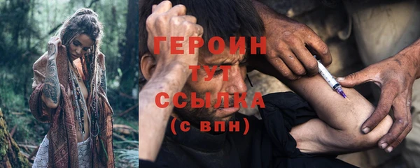 прущие грибы Наволоки