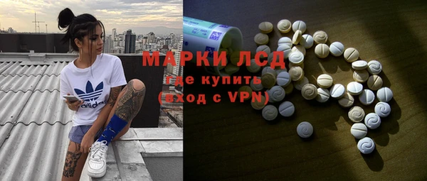 прущие грибы Наволоки
