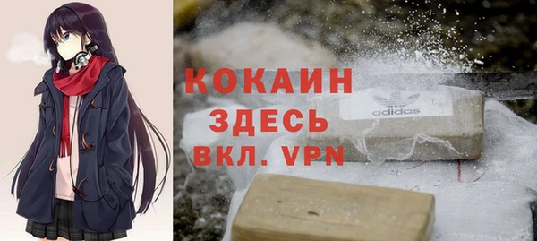 прущие грибы Наволоки