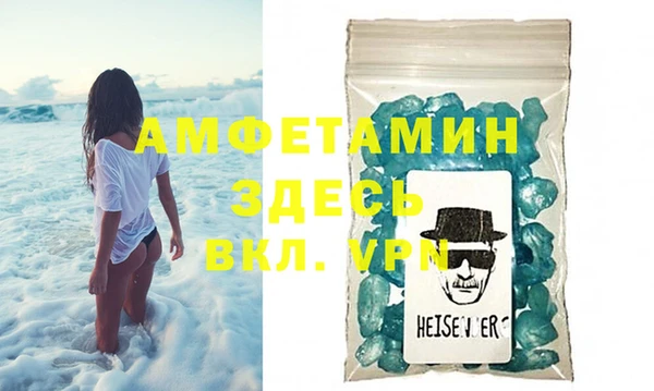 прущие грибы Наволоки
