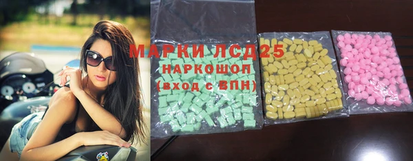 прущие грибы Наволоки