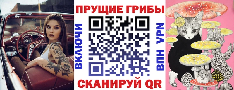 где купить наркотик  Хабаровск  Псилоцибиновые грибы прущие грибы 