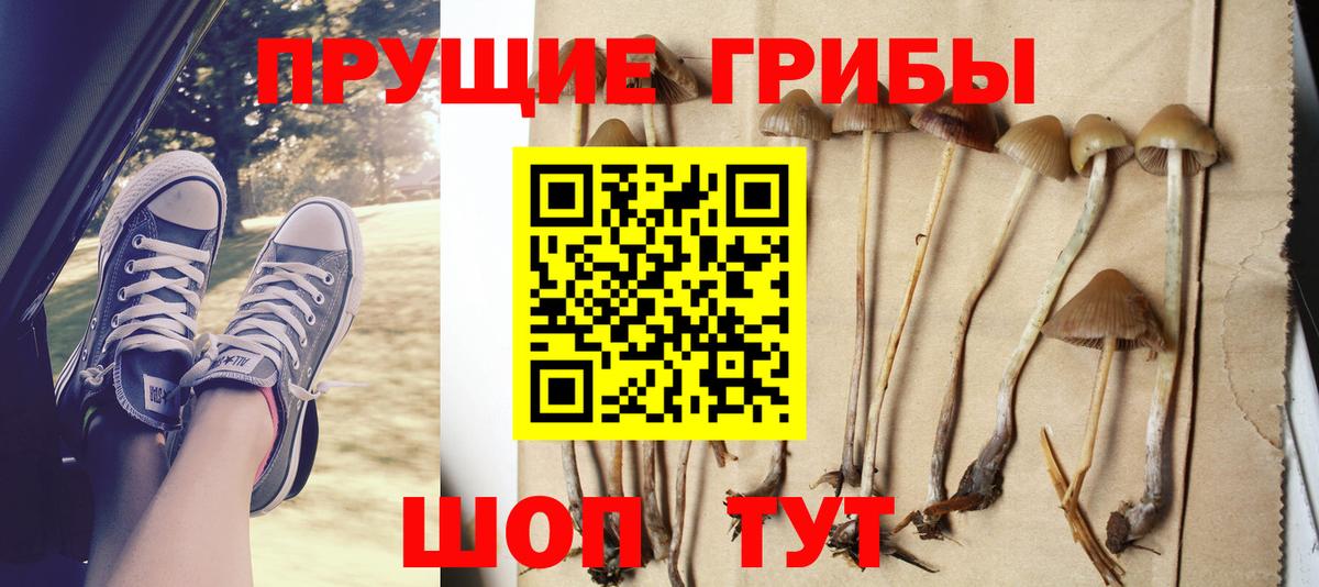 Псилоцибиновые грибы GOLDEN TEACHER Хабаровск