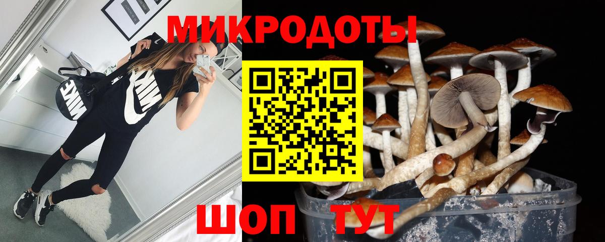 Псилоцибиновые грибы прущие грибы  Вход с VPN  Хабаровск 